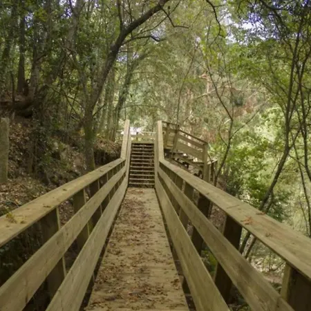 Sola Costeiro Apartamento Padrenda