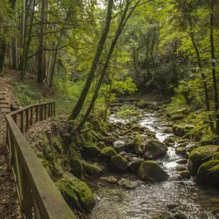 Sola Costeiro Padrenda