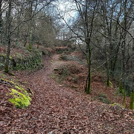 Sola Costeiro Padrenda