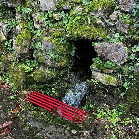 Sola Costeiro Apartamento