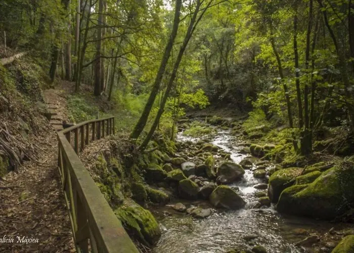 Sola Costeiro Padrenda