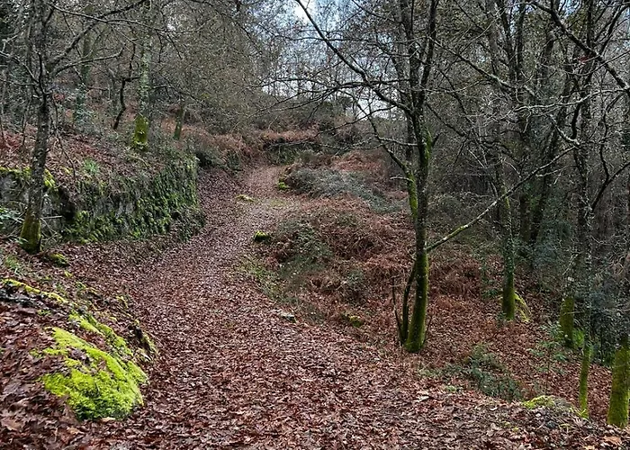 Sola Costeiro Padrenda