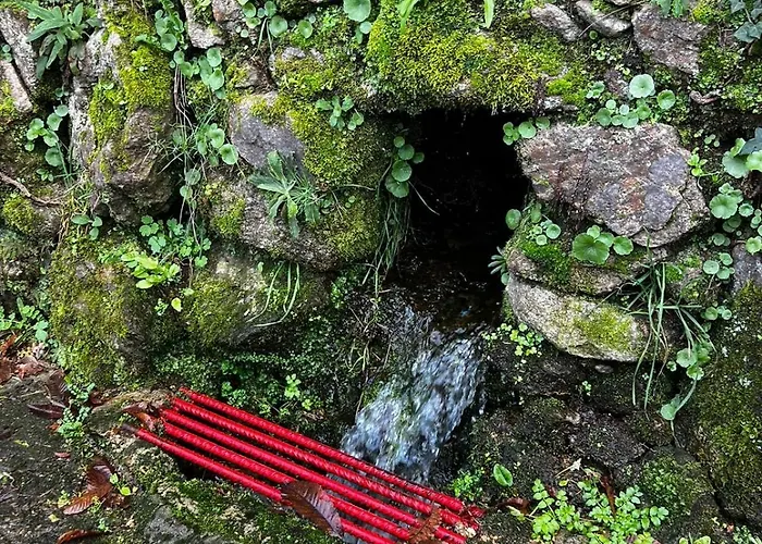 Sola Costeiro Апартаменты